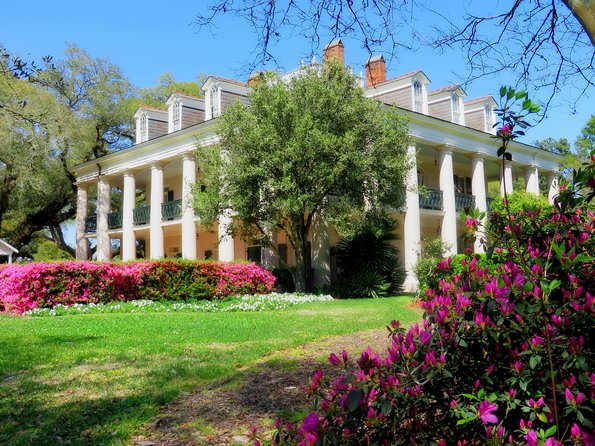 Oak Alley Plantation Tour with Transportation from New Orleans - Your Time at Oak Alley: pacing, snacks, and the grounds