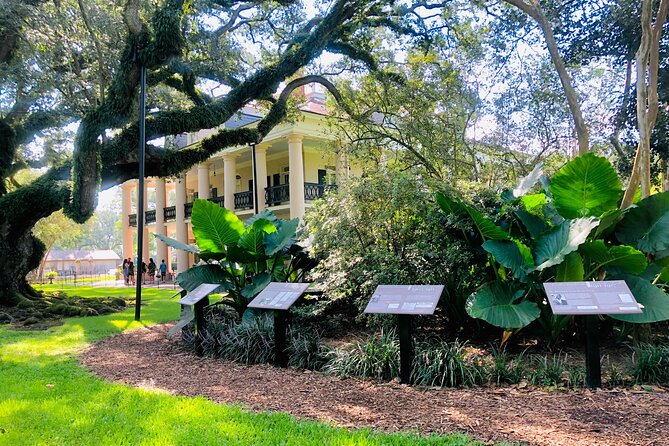 Oak Alley Plantation Tour with Transportation from New Orleans - Who Should Book This Oak Alley Tour?