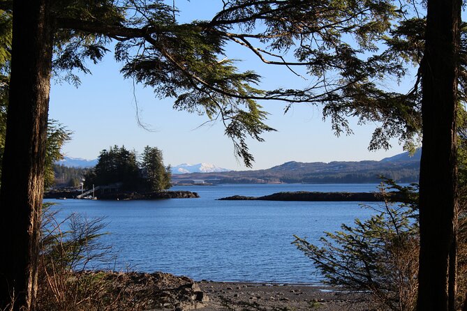 Off the Beaten Path Ketchikan Photo Safari - 3 hr. - A 3-hour photo safari that’s built for “getting it right”
