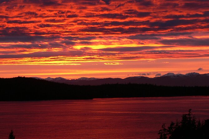 Off the Beaten Path Ketchikan Photo Safari - 3 hr. - Should you book the Off the Beaten Path Ketchikan Photo Safari?