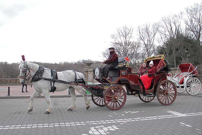 Official NYC Horse Carriage Rides in Central Park since 1979 ™ - The 55-minute loop: how you see more without the walking marathon
