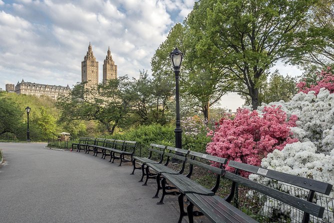 Official NYC Horse Carriage Rides in Central Park since 1979 ™ - Wollman Rink, the Carousel, and the classic Central Park look