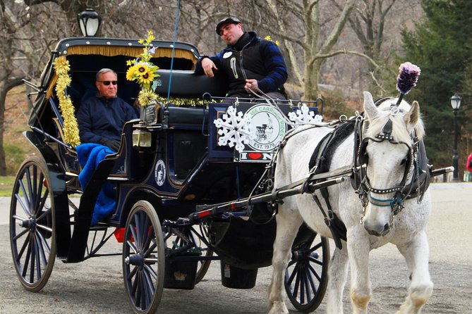 Official NYC Horse Carriage Rides in Central Park since 1979 ™ - Loeb Boathouse, the lake area, and Bandshell vibes