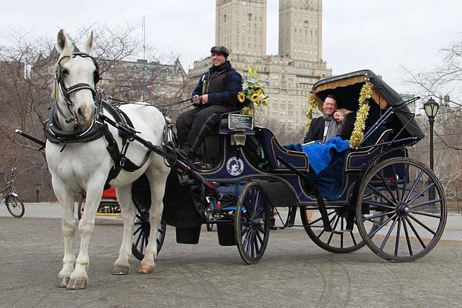 Official NYC Horse Carriage Rides in Central Park since 1979 ™ - Price and value: what $99 per group really buys you