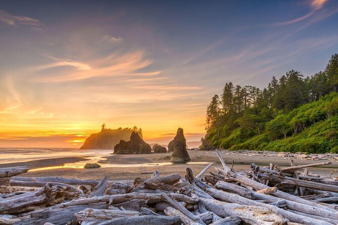 Olympic National Park Small Group Day Tour w/Scenic Ferry 2CanGo - Key Points Worth Booking This For