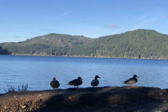 Olympic National Park Small Group Day Tour w/Scenic Ferry 2CanGo - Food, Comfort, and the Long Van Ride That Comes With It