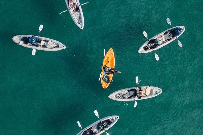 Original La Jolla Sea Cave Kayak Tour for Two - Sea Caves kayaking in La Jolla: the real appeal