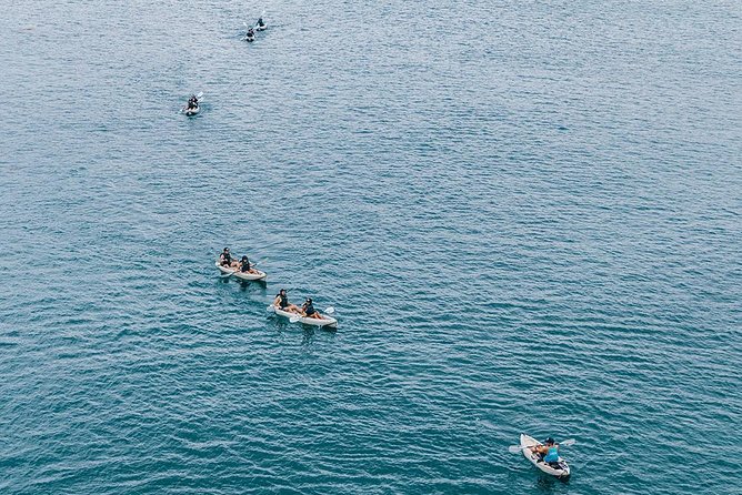 Original La Jolla Sea Cave Kayak Tour for Two - Stop-by-stop: how your 90 minutes unfolds