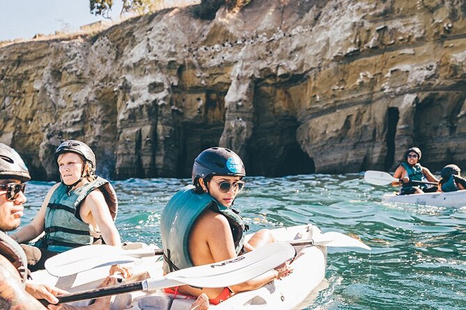 Original La Jolla Sea Cave Kayak Tour for Two - Wildlife odds: seals, sea lions, birds, and the occasional wow