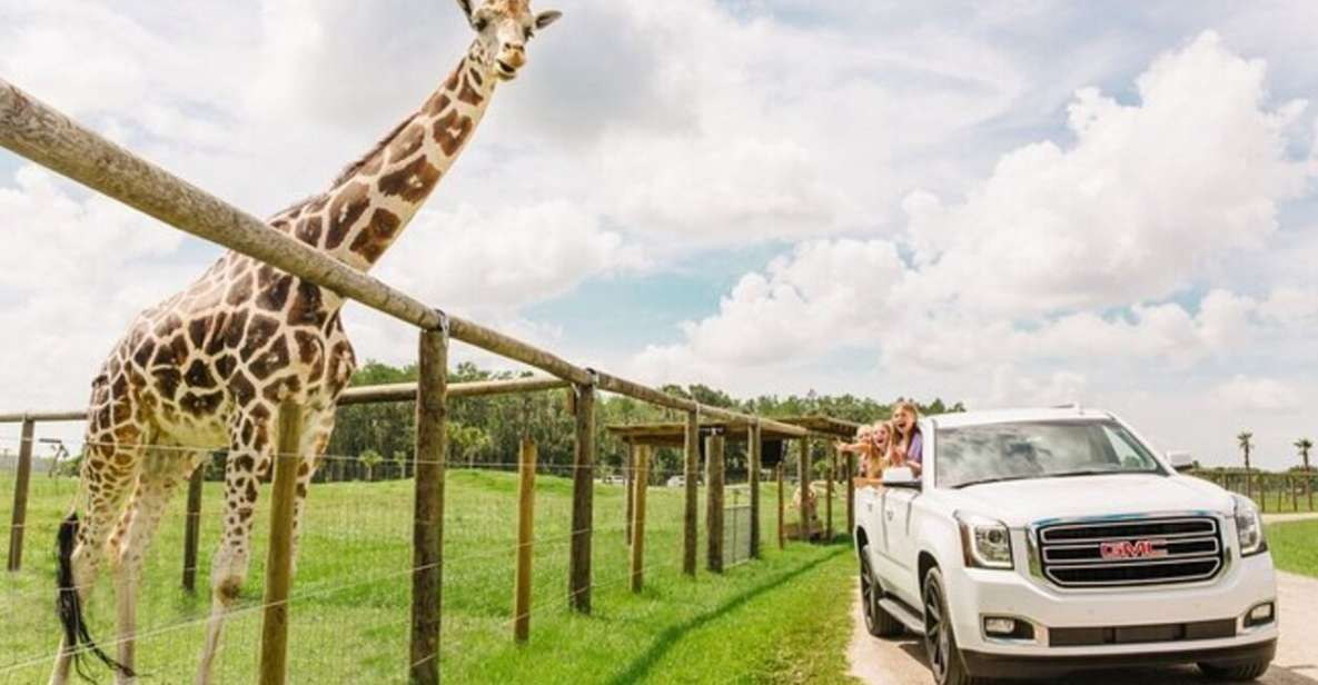 Orlando: Drive-Thru Safari Park at Wild Florida - Key Takeaways Before You Go