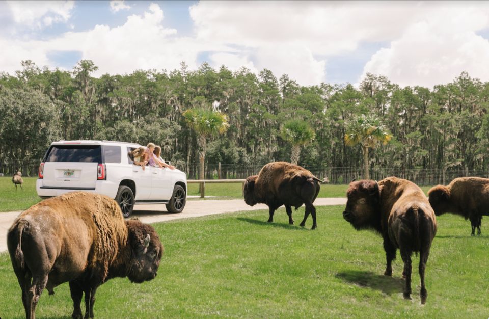 Orlando: Drive-Thru Safari Park at Wild Florida - Rolling Into Wild Florida’s Drive-Thru Safari Park