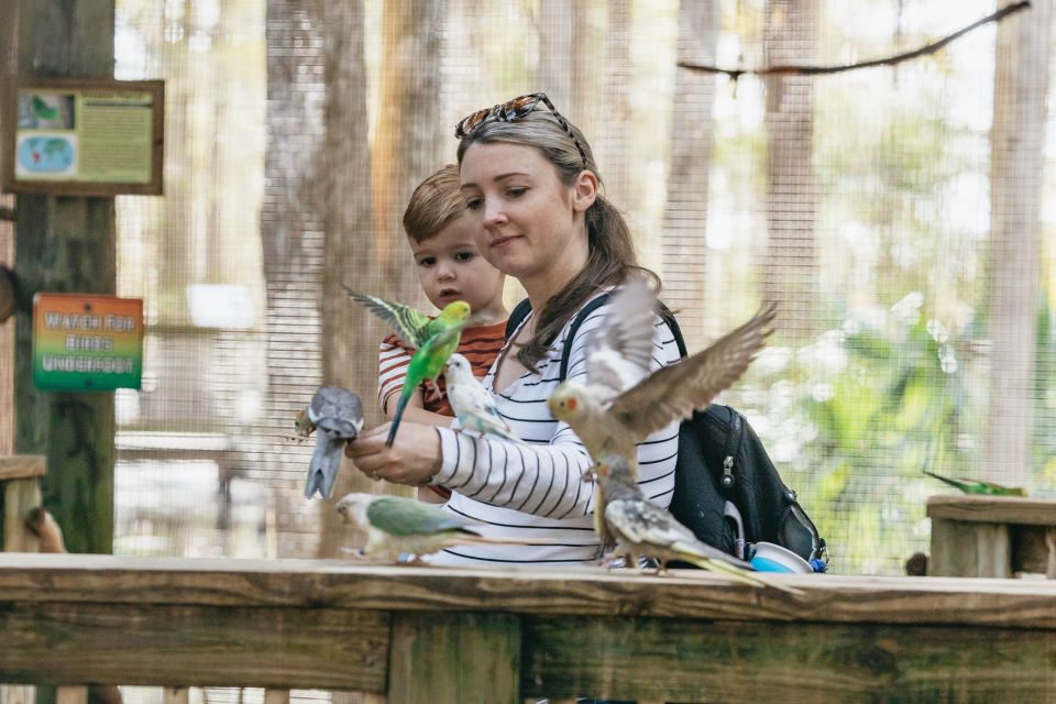 Orlando: Drive-Thru Safari Park at Wild Florida - What You’ll See: Native Florida Wildlife and Exotic Animals