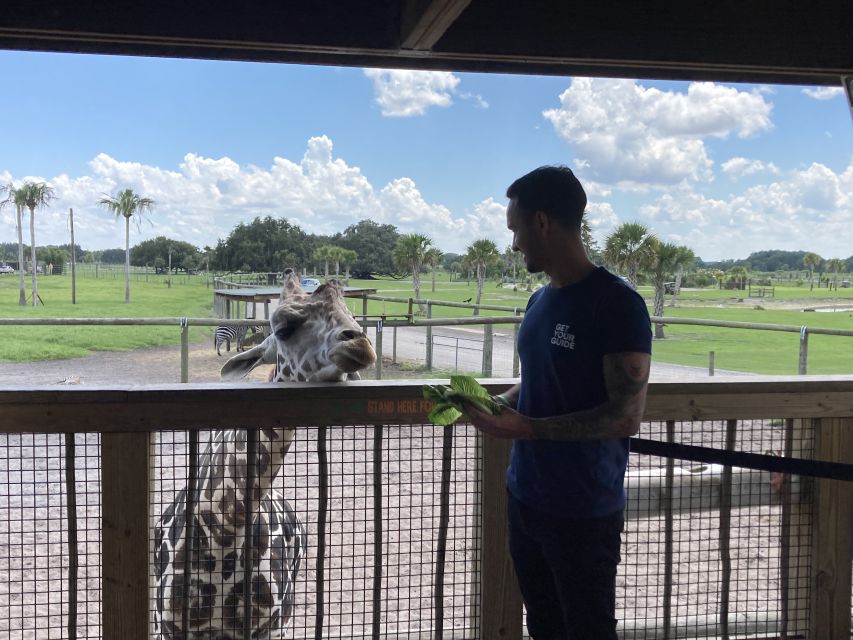 Orlando: Drive-Thru Safari Park at Wild Florida - Gator Park Walk-Through Time: Shade, Seating, and Feeding Moments