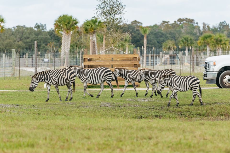 Orlando: Drive-Thru Safari Park at Wild Florida - Who This Is Best For (and Who Might Want to Adjust Expectations)