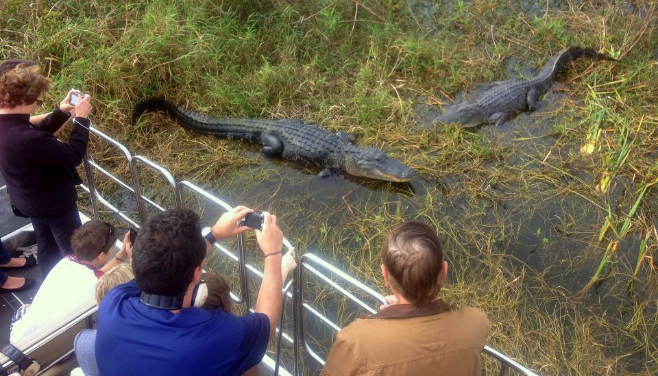Orlando: Everglades Airboat Ride and Wildlife Park Ticket - Captains and Guides: How You Get More Out of the Same 30 Minutes
