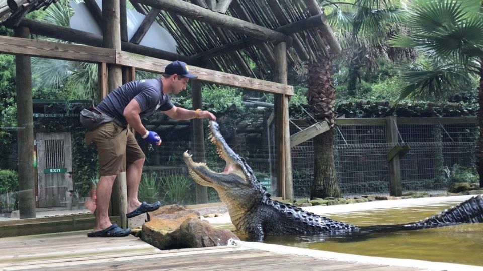 Orlando: Everglades Airboat Ride and Wildlife Park Ticket - Price and Value: Is $36 Actually a Good Deal?