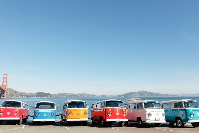 Painted Ladies San Francisco City Tour - Tips, Guides, and How to Get the Most Out of Your 2 Hours