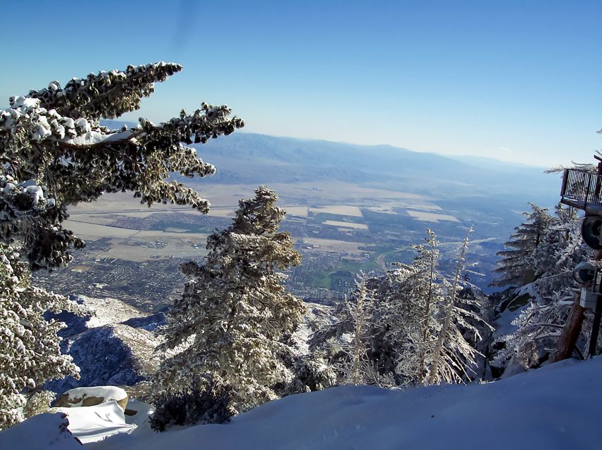 Palm Springs: Aerial Tramway Round-Trip Ticket - From Valley Station to Mountain Station: What the Ride Feels Like