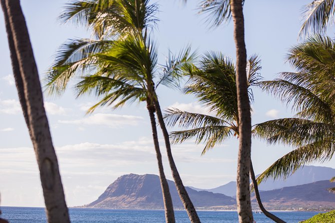 Paradise Cove Luau - Dinner at Paradise Cove: Fresh Seafood, Kalua Pork, and a Big Menu Mix
