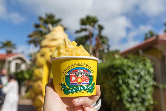 Pearl Harbor, Dole Plantation, and Polynesian Center from Waikiki - Key things I’d circle before you go