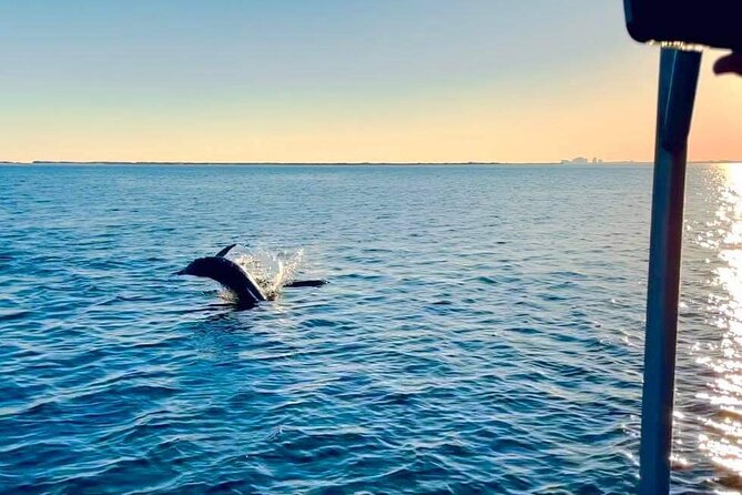 Pensacola Frisky Dolphin Sightseeing Bay Cruise - Getting to the boat at 701 Pensacola Beach Blvd (and parking without drama)