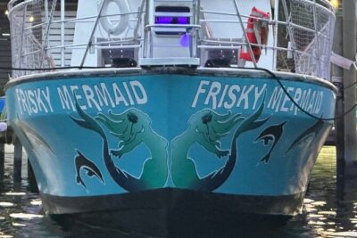 Pensacola Frisky Dolphin Sightseeing Bay Cruise - Stop 1: your dolphin search around Pensacola Beach (and the fin-fact show)