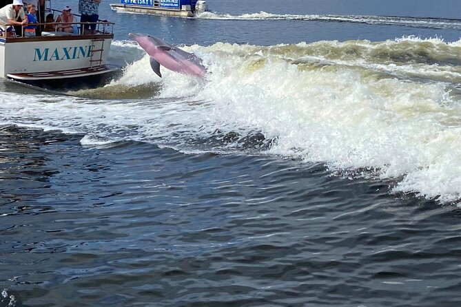 Pensacola Frisky Dolphin Sightseeing Bay Cruise - Food, beverages, and souvenirs: budget like a local