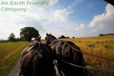 Philadelphia and Amish Country, 1-Day Tour from NYC - Start times, meeting spot, and your ride setup