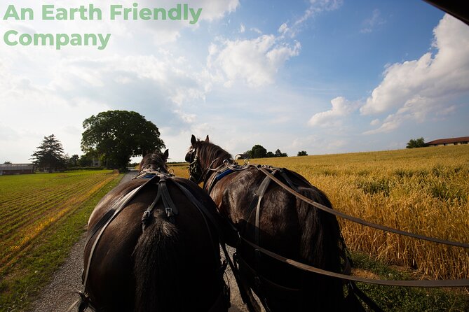 Philadelphia and Amish Country, 1-Day Tour from NYC - Start times, meeting spot, and your ride setup