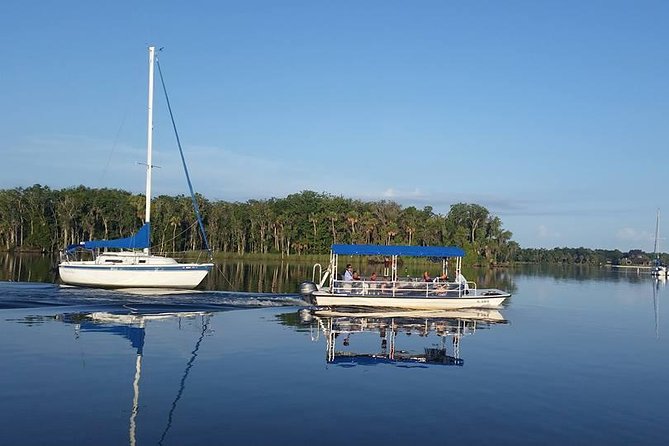 Plantation's Kings Bay Scenic Cruise - Price and Value: Is $25 for a 1-Hour Cruise Fair?