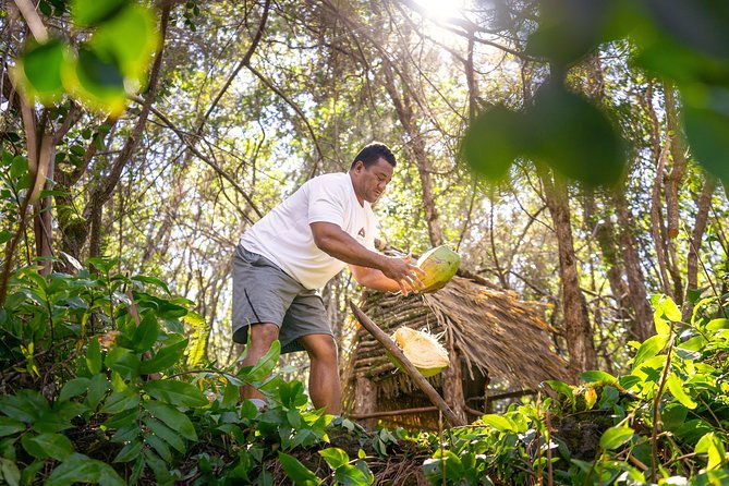 Polynesian Cultural ATV Tour in Kona - ATV Through Kona Jungle Meets Polynesian Village Culture