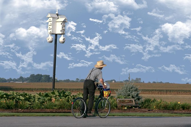 Premium Amish Country Tour including Amish Farm and House - Lancaster to Amish Country: Why This Tour Feels Efficient