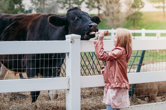 Premium Amish Country Tour including Amish Farm and House - Stop Time at the Amish Farm and House: Schoolhouse, Market, and Animals