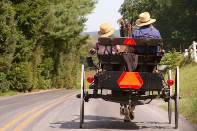 Premium Amish Country Tour including Amish Farm and House - The 90-Minute Minibus Ride Through Real Backroads