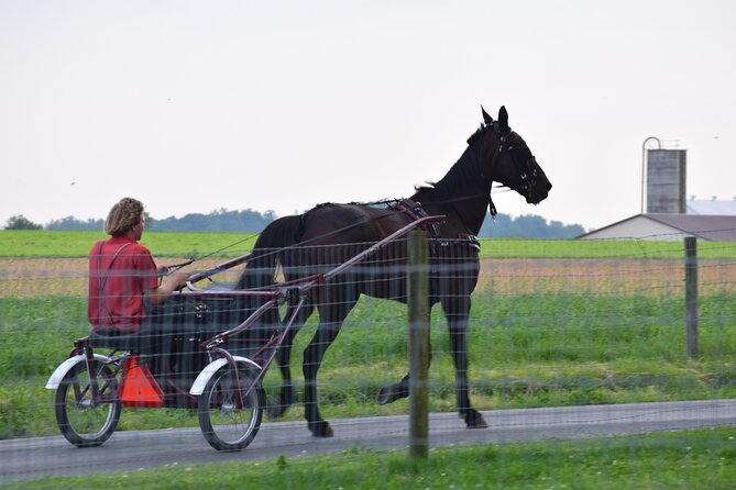Premium Amish Country Tour including Amish Farm and House - Food on Tour: Don’t Count on a Meal Included