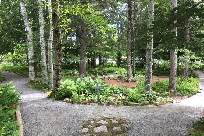 Premium Narrated Bus Tour of Bar Harbor and Acadia National Park (3.5 Hours) - Jordan Pond House: views, food, and an observation deck when parking allows