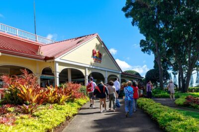 Premium Oahu Circle Island Tour – Small Group, No Crowds - Price and Value: What $115 Buys You on Oahu