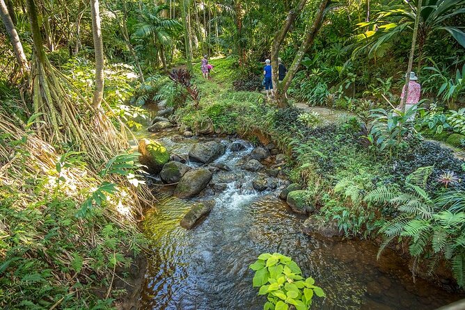Princeville Botanical Gardens Tour and Chocolate Tasting Ticket - Outdoor chocolate station: learn processing, then taste at least five single-origin bars