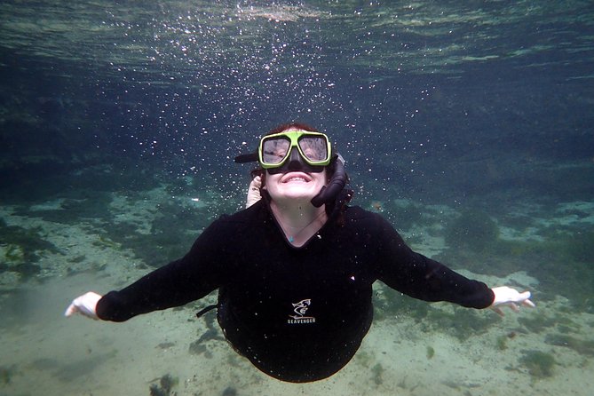 Private 'OG' Manatee Snorkel Tour with Guide for up to 10 people - Etiquette in the water: the rules that make manatees comfortable