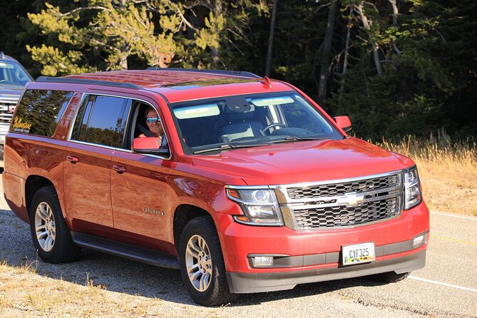 Private Yellowstone Tour: ICONIC Sites, Wildlife, Family Friendly Hikes + lunch - Grand Canyon of the Yellowstone and Yellowstone Lake: two ways to reset your eyes