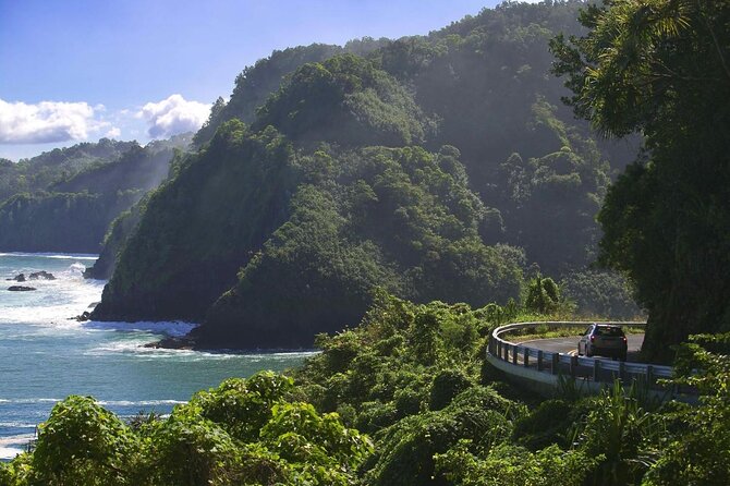 Rainforest Tour to Hana and Beyond - Key things I’d circle before you book