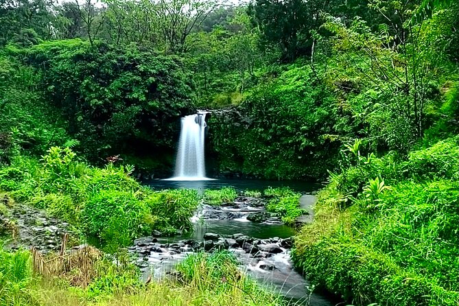 Rainforest Tour to Hana and Beyond - Rainbow eucalyptus and rainforest lookouts: Huelo, Kaumahina, and Wailua