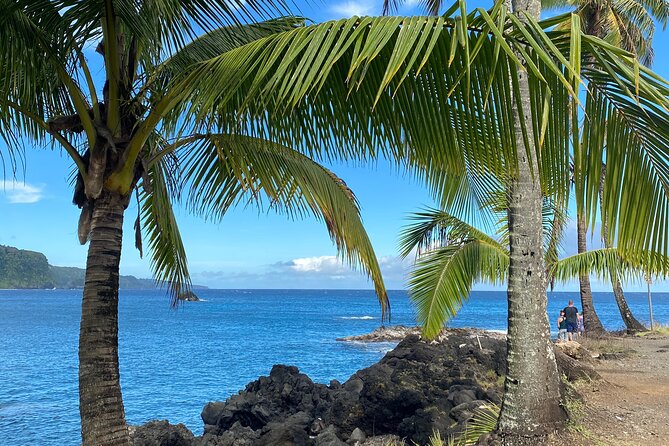 Rainforest Tour to Hana and Beyond - Ho‘okipa Beach Park: windsurfing energy and sea turtles on watch