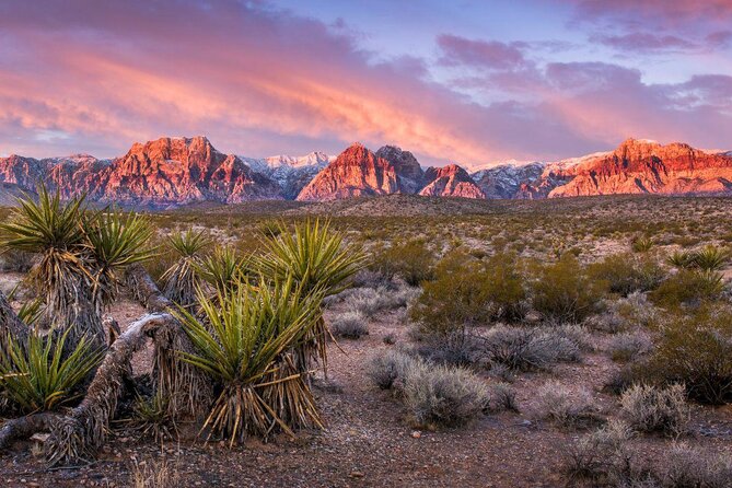 Red Rock Canyon Hike with Transport from Las Vegas - Key things to know before you go