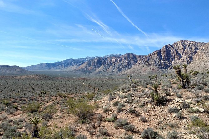 Red Rock Canyon Hike with Transport from Las Vegas - Guides are the main ingredient: you could meet Javier, April, Chris, or JJ