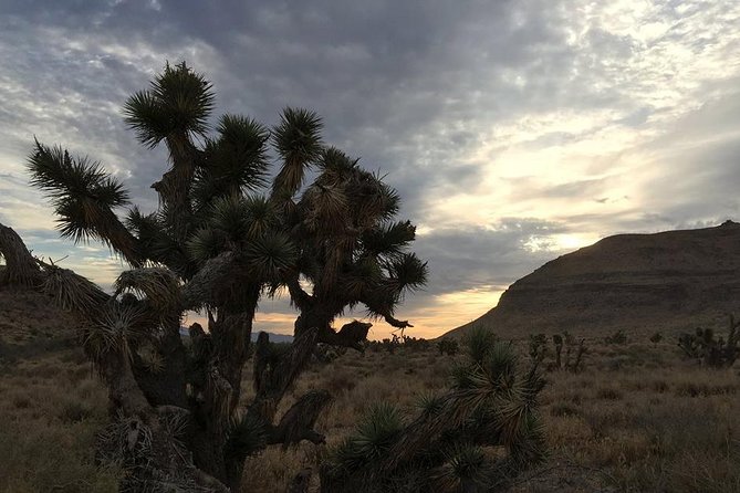 Red Rock Canyon Sunset Horseback Ride and Barbeque Dinner - Red Rock sunset: the best kind of break from the Strip