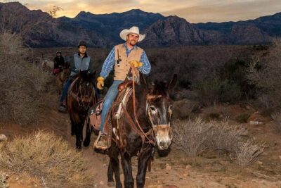Red Rock Canyon Sunset Horseback Ride and Barbeque Dinner - The 90-minute horseback ride: beginner help and calm mounts