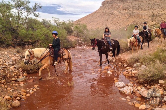 Red Rock Canyon Sunset Horseback Ride and Barbeque Dinner - Price and value: what $199 gets you (and what it doesn’t)
