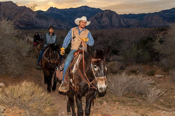 Red Rock Canyon Sunset Horseback Ride and Barbeque Dinner - The 90-minute horseback ride: beginner help and calm mounts