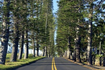 Road to Hana: Full-Day Scenic Drive with Blacksand & Waterfalls - The day’s real schedule: how long, how early, and what it feels like